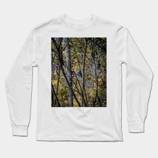 A November Bluejay Long Sleeve T-Shirt